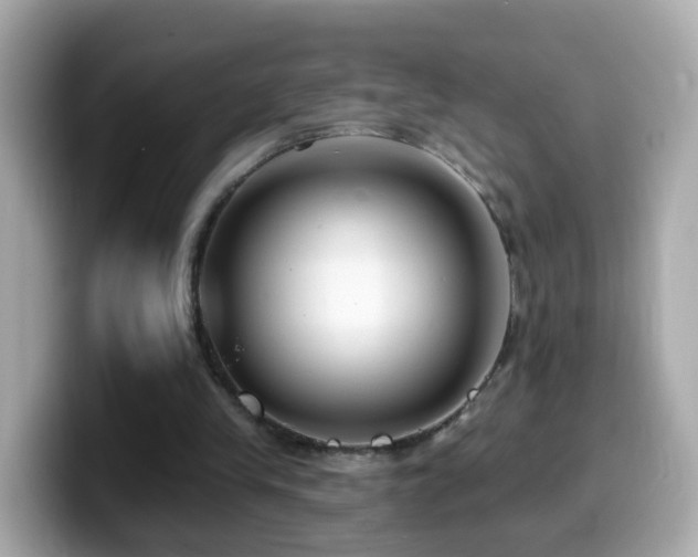 X0000099960245200805231346