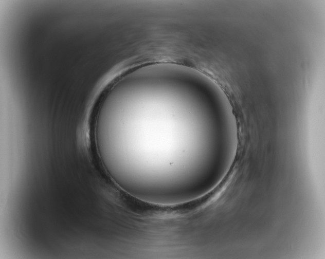 X0000099960246200805231346