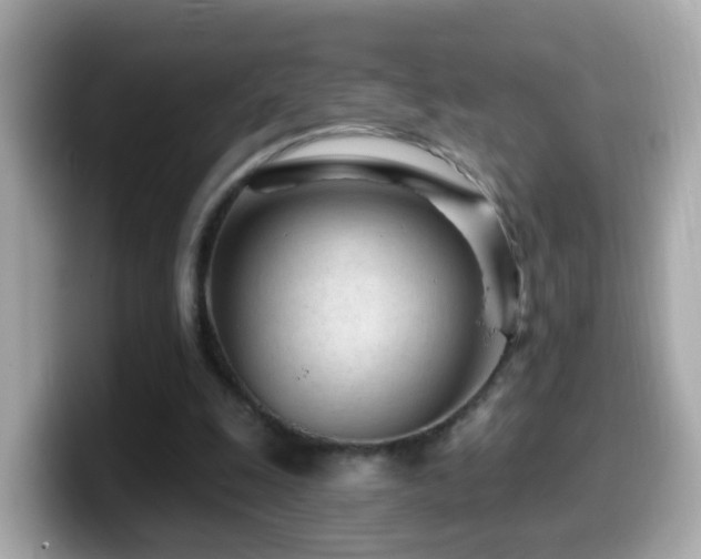 X0000099960247200805231346