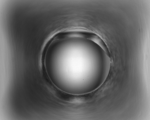 X0000099960248200805231346