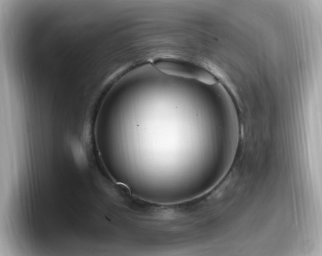 X0000099960249200805231346