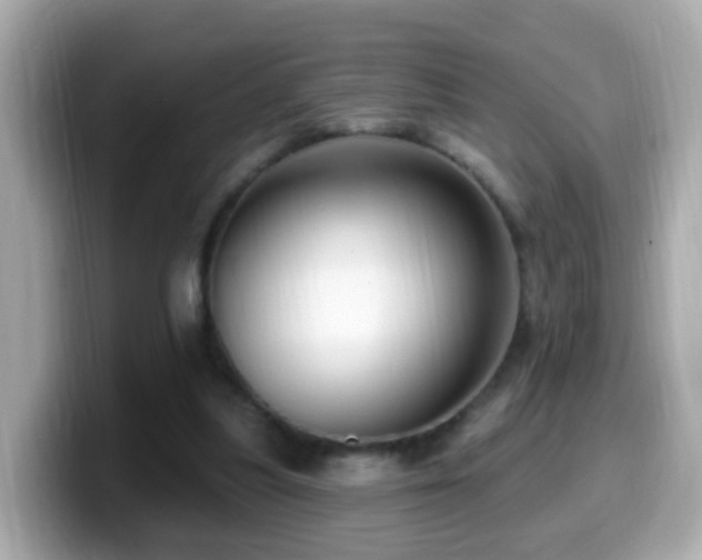 X0000099960251200805231346