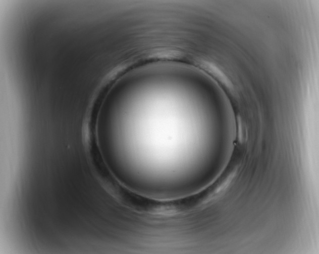 X0000099960252200805231346