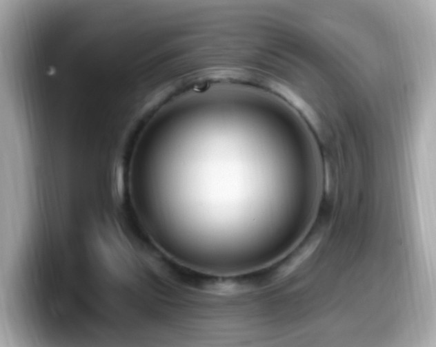X0000099960253200805231346