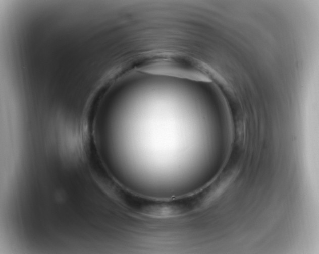 X0000099960254200805231346