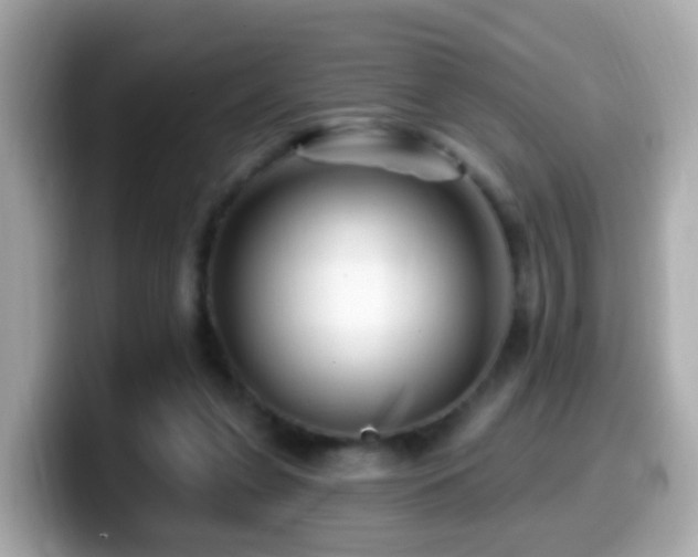 X0000099960255200805231346