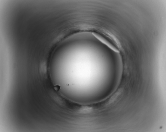 X0000099960257200805231346