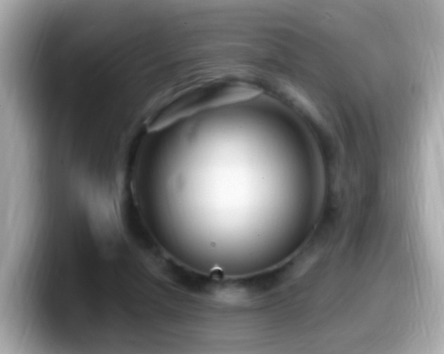 X0000099960258200805231346