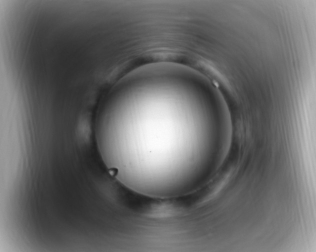X0000099960259200805231346