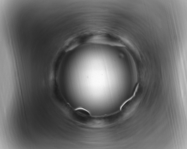 X0000099960260200805231346