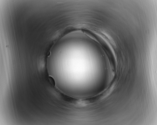 X0000099960261200805231346