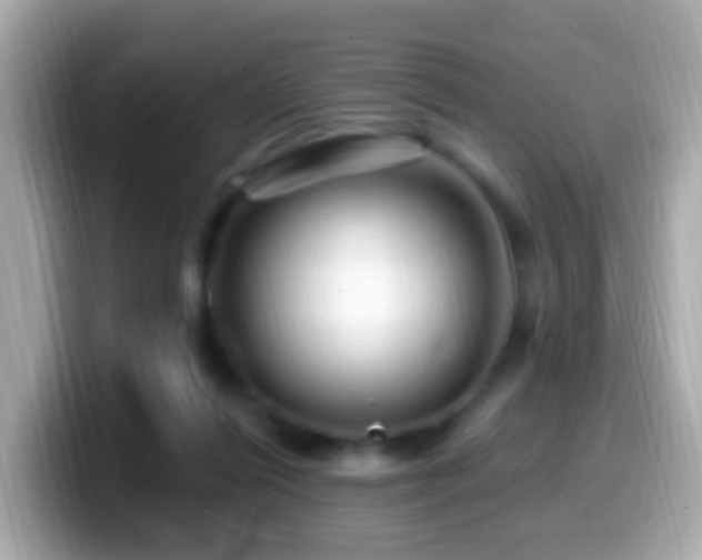 X0000099960262200805231346