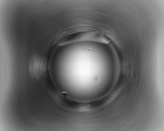 X0000099960263200805231346