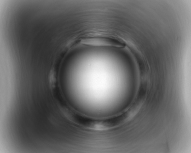 X0000099960264200805231346
