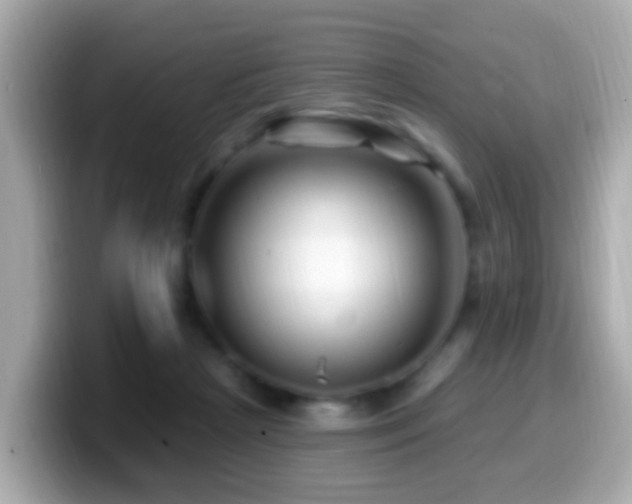 X0000099960265200805231346
