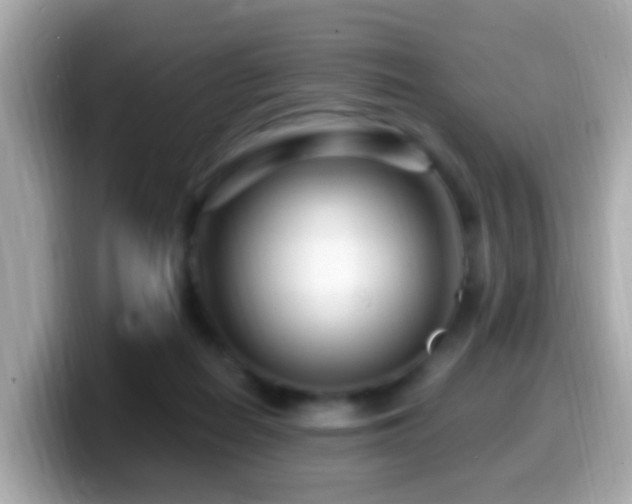 X0000099960266200805231346