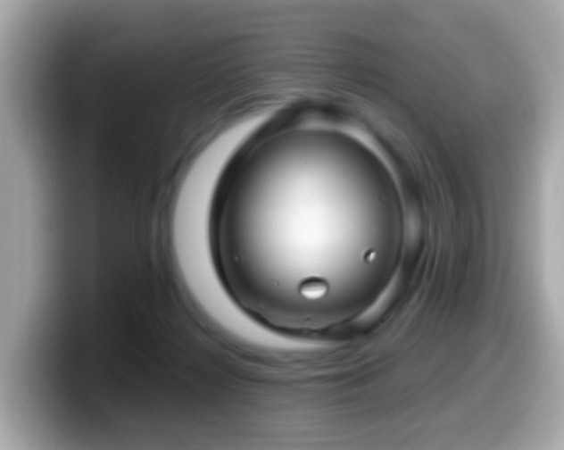 X0000099960268200805231346
