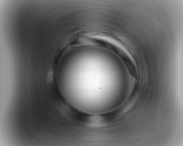 X0000099960269200805231346
