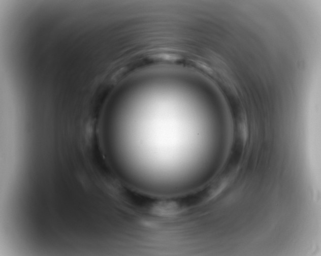 X0000099960271200805231346