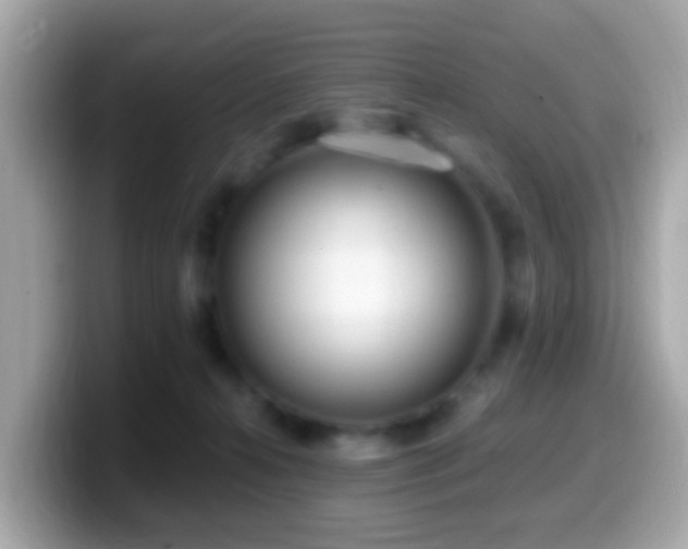 X0000099960272200805231346