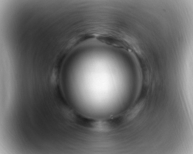 X0000099960273200805231346