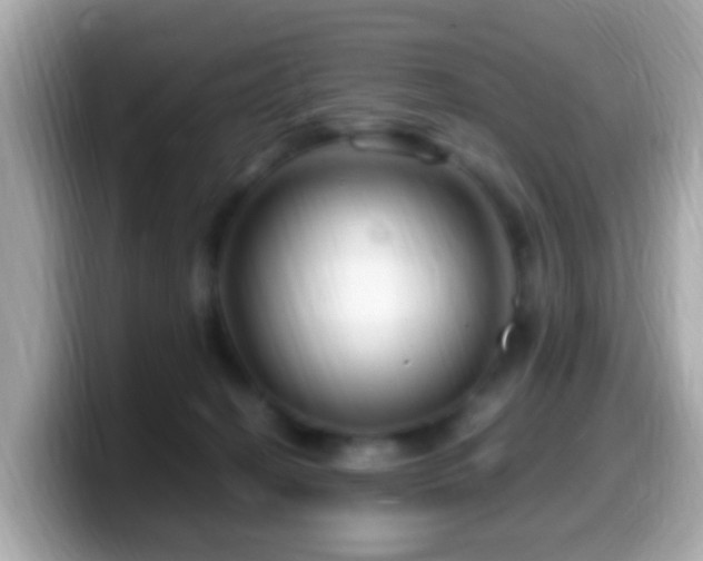 X0000099960274200805231346