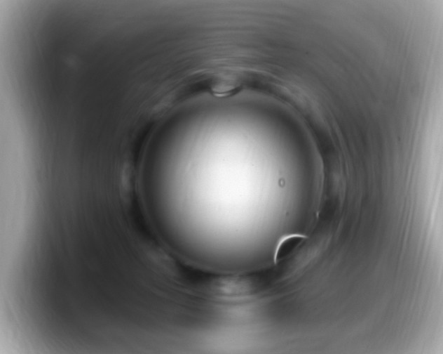 X0000099960275200805231346