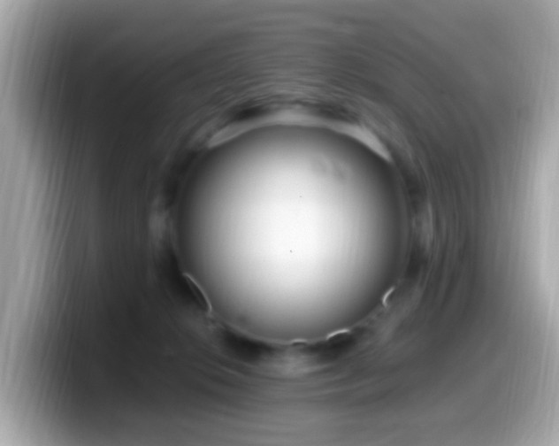 X0000099960276200805231346