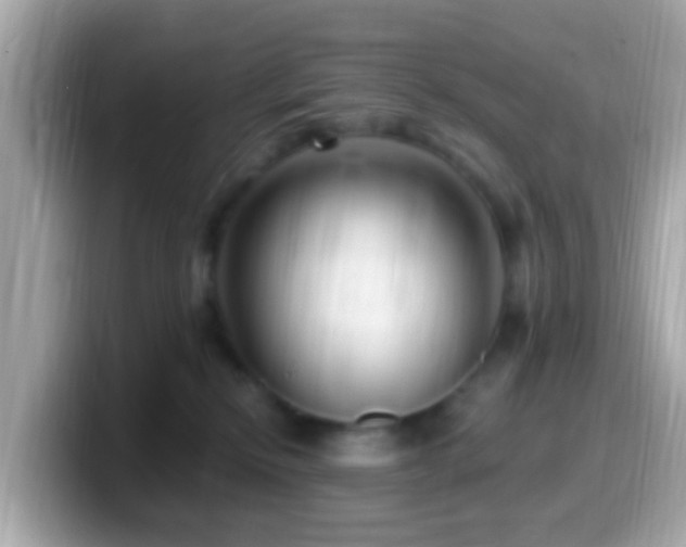 X0000099960278200805231347