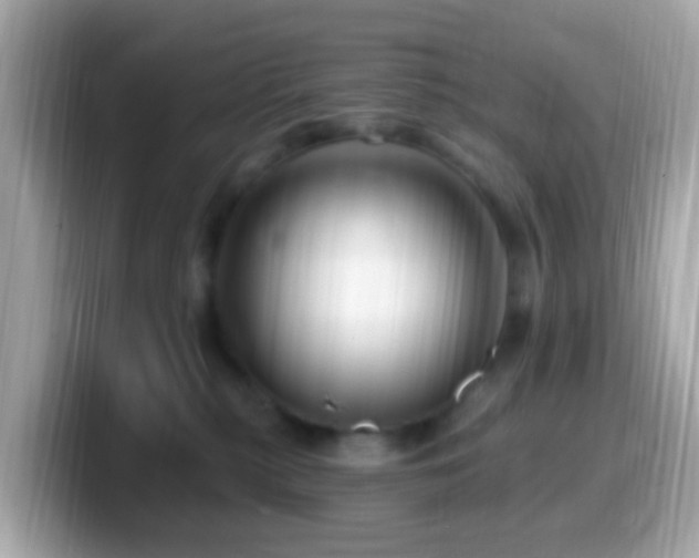 X0000099960279200805231347