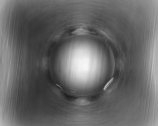 X0000099960280200805231347