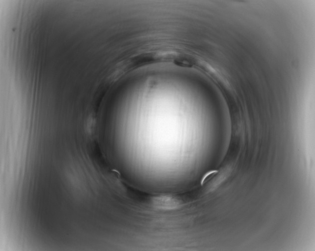 X0000099960281200805231347