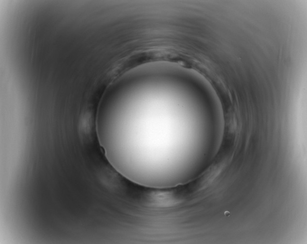X0000099960283200805231347
