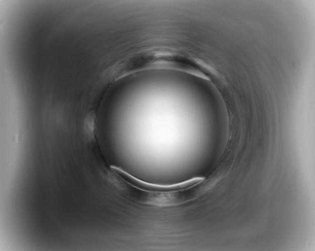 X0000099960288200805231347