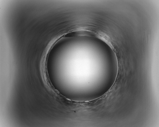 X0000099960289200805231346