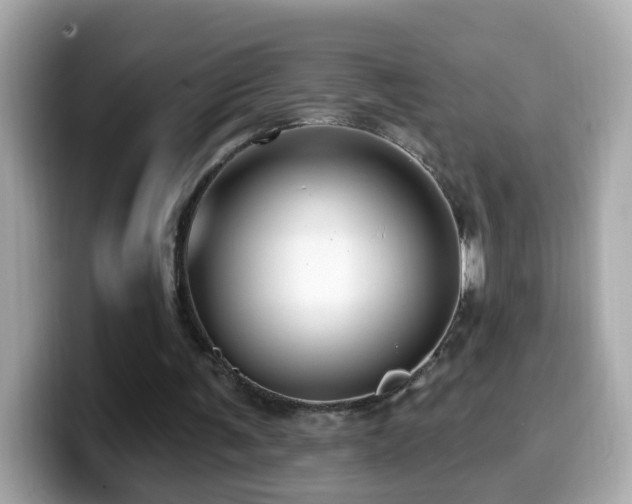 X0000099960291200805231346