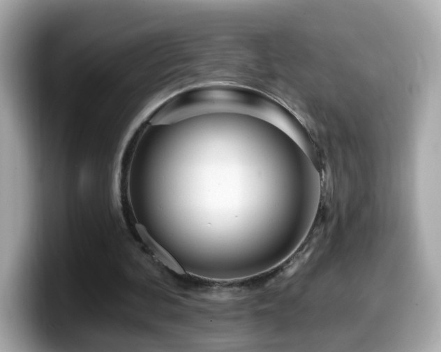 X0000099960292200805231346