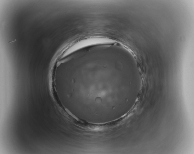 X0000099960293200805231346