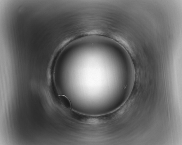 X0000099960298200805231346
