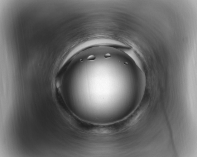 X0000099960299200805231346