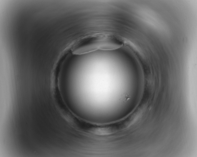 X0000099960303200805231346