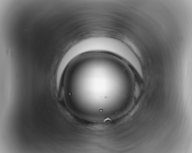 X0000099960305200805231346