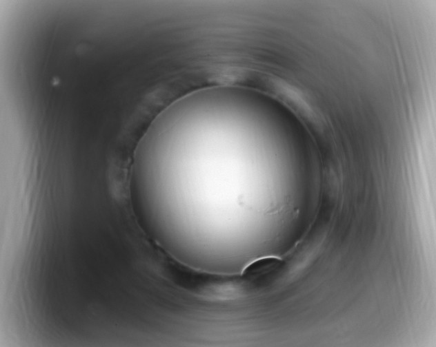 X0000099960307200805231346