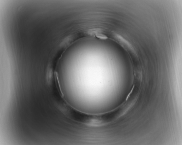 X0000099960308200805231346