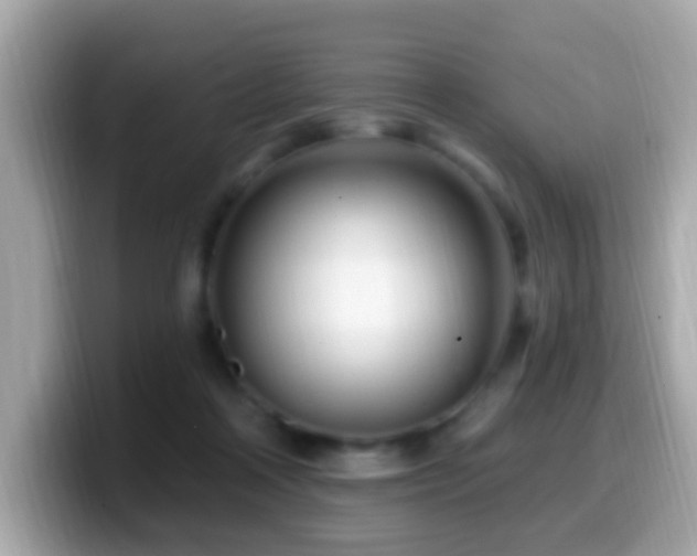 X0000099960314200805231346