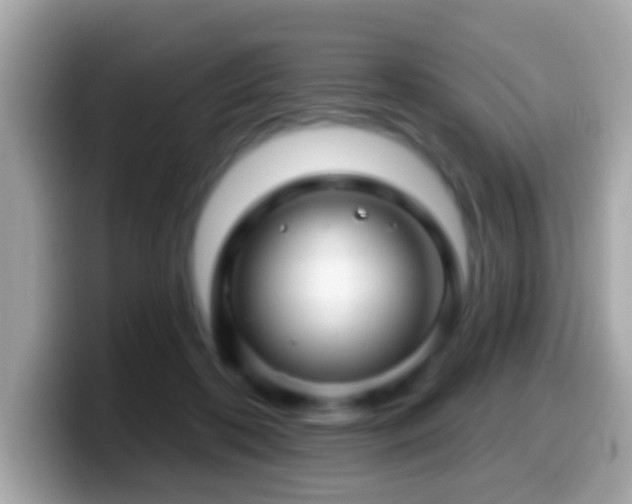 X0000099960316200805231346
