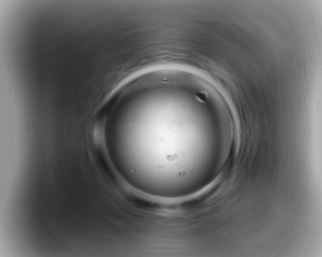 X0000099960317200805231346