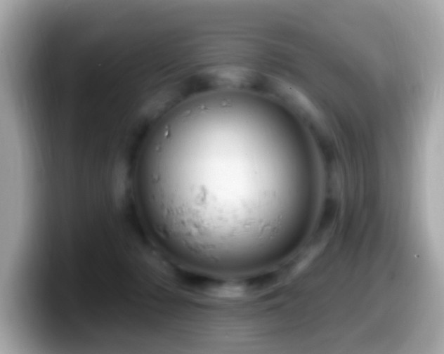 X0000099960318200805231346