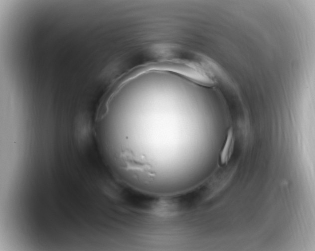 X0000099960320200805231346