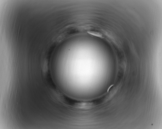 X0000099960323200805231346